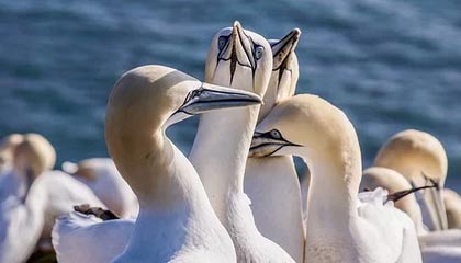 影音资源在线观看，让娱乐触手可及