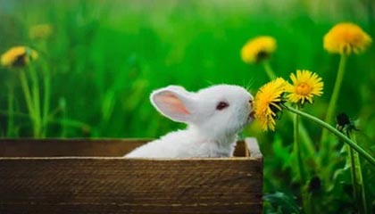 77影视——开启你的高清影视新世界