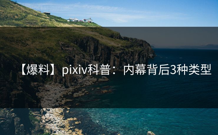 【爆料】pixiv科普：内幕背后3种类型