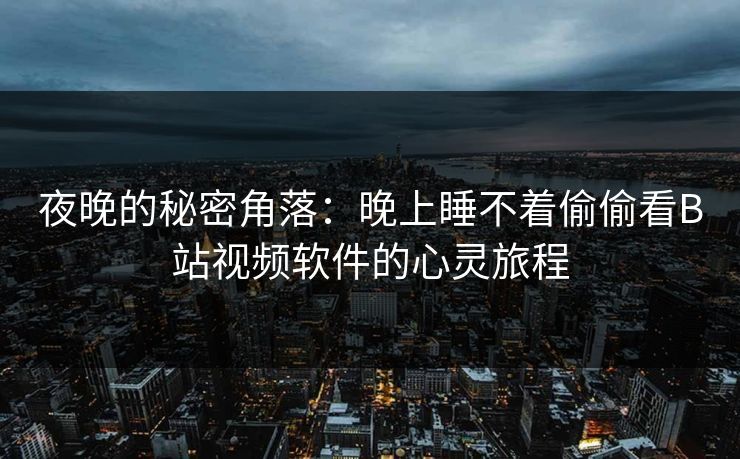夜晚的秘密角落：晚上睡不着偷偷看B站视频软件的心灵旅程