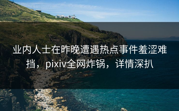 业内人士在昨晚遭遇热点事件羞涩难挡，pixiv全网炸锅，详情深扒