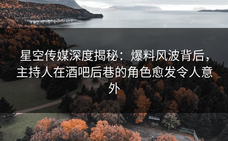 星空传媒深度揭秘：爆料风波背后，主持人在酒吧后巷的角色愈发令人意外