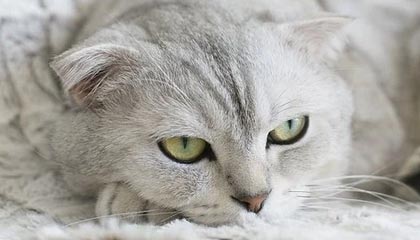 皓晨娱乐网——开启你的娱乐新世界