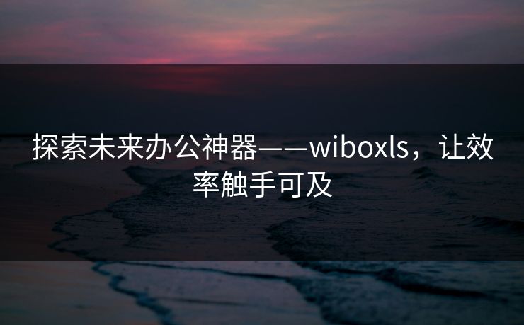 探索未来办公神器——wiboxls，让效率触手可及